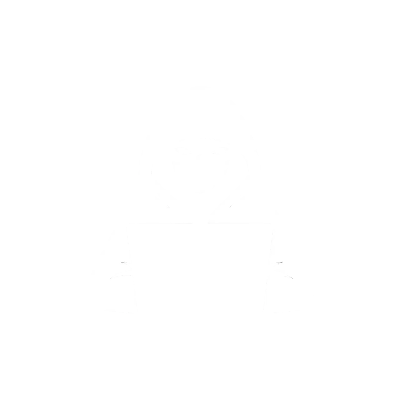 icon5